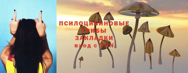 а пвп мука Алзамай