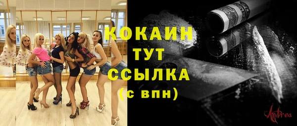 дмт Аркадак
