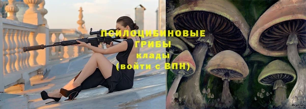 а пвп мука Алзамай