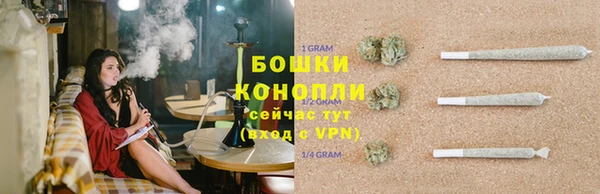PSILOCYBIN Армянск