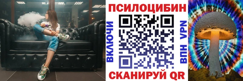 купить наркотик  Тында  Галлюциногенные грибы мицелий 